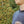 Up North Ontario Long Sleeve Tee - Dark Sky Preserve Navy