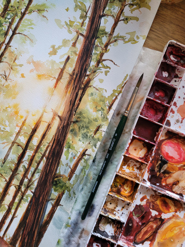 Algonquin Sunset Through the Pines | Forest Wall Art | Watercolor Print