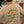 There Goes the Sun Short Sleeve - Overcast