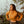 Stoked Folk Long Sleeve - Pass the Mustard