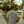 There Goes the Sun Short Sleeve - Overcast