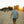 There Goes the Sun Short Sleeve - Summer Sky