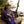 Sunset Society Crewneck - Electric Purple S
