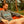 Sunset Society Crewneck - Charcoal BBQ