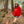 Sunset Society Crewneck - Red