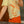 Certified Silly Goose Tee - Sunshine Yellow