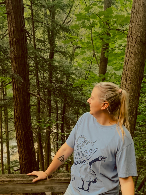 Certified Silly Goose Tee - Blue Skies