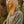 Sunset Society 1/4 Zip Sweatshirt | Green Daydream