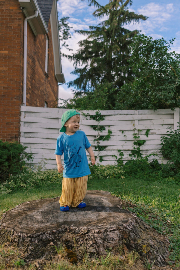 KIDS Certified Silly Goose Tee - Blue Skies