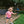 KIDS Certified Silly Goose Tee - Cotton Candy Pink