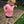 Certified Silly Goose Tee - Pink S