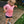 KIDS Certified Silly Goose Tee - Cotton Candy Pink