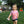 KIDS Certified Silly Goose Tee - Cotton Candy Pink