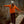 Algonquin Long Sleeve | Camp Orange