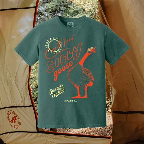 Certified Silly Goose Tee - Teal Appeal S