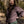 Sunset Society 1/4 Zip Sweatshirt | Back Before Dusk S
