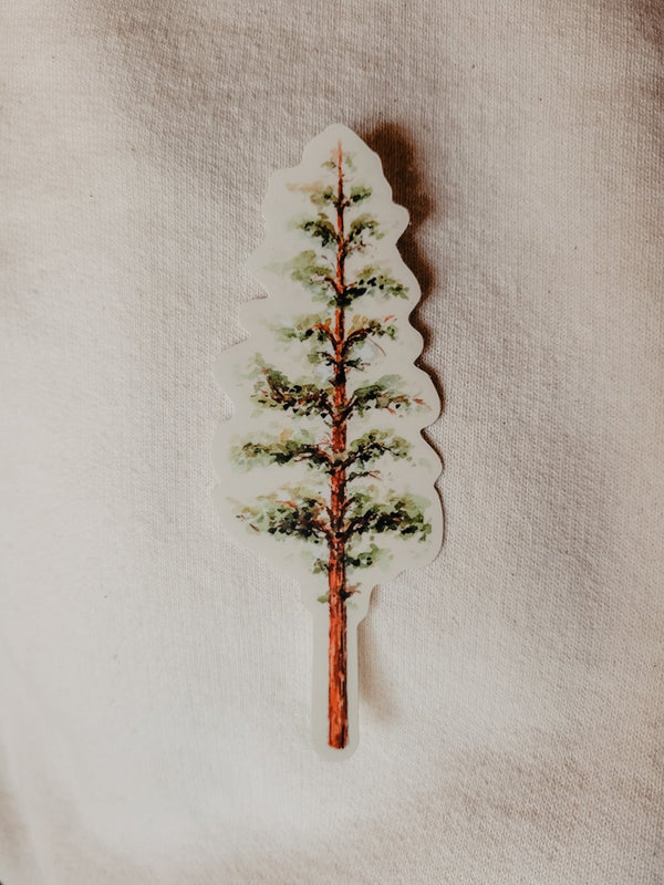 Watercolor Pine Tree | Vinyl Sticker