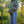 Up North Ontario  Hoodie - Green Daydream S