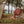 Up North Ontario Hoodie - Red Afterglow S