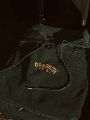 Up North Ontario Hoodie - Teal Appeal S