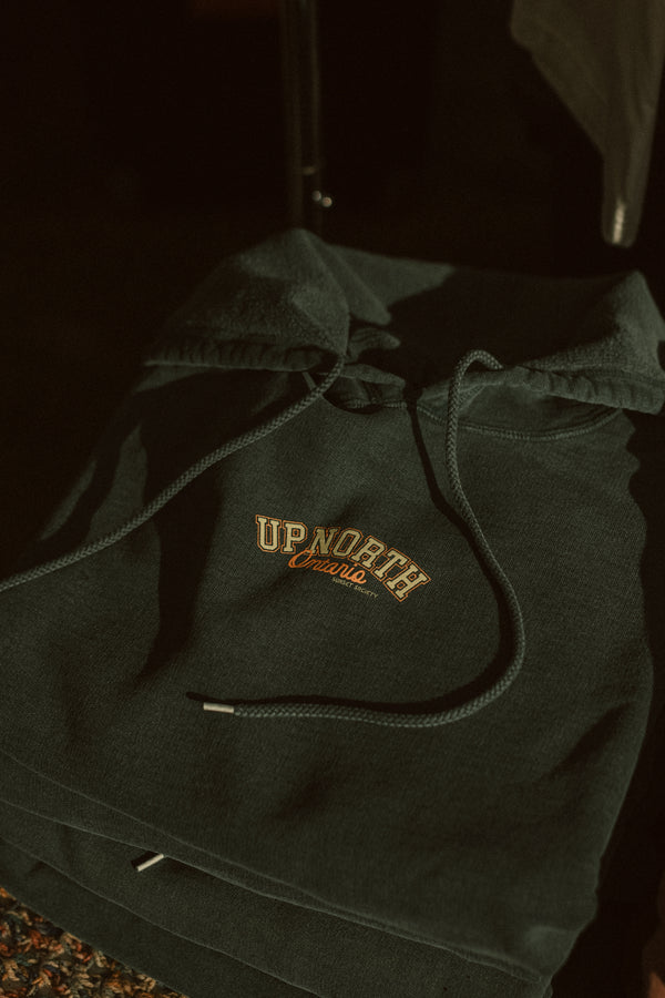 Up North Ontario Hoodie - Teal Appeal S