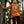 Algonquin Long Sleeve | Camp Orange