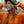 Algonquin Long Sleeve | Camp Orange