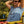 Certified Silly Goose Tee - Blue Skies